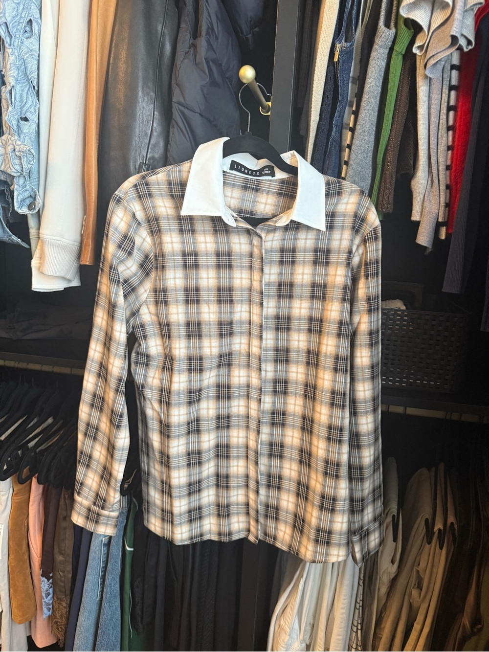 Lioness Brown and White Plaid Button-Down Shirt